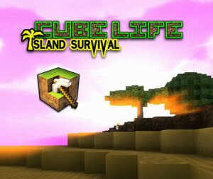 cube-life-island-survival-wii-u-jaquette-cover-01